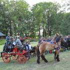 zdjęcie nr 300