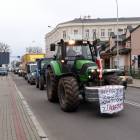 zdjęcie nr 22
