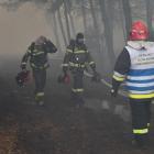 zdjęcie nr 9