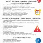 Fotka nr 1 z 3