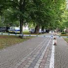 Fotka nr 1 z 3