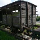 zdjęcie nr 31