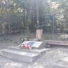zdjęcie nr 30
