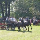 zdjęcie nr 27