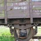 zdjęcie nr 42
