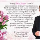 Fotka nr 1 z 11