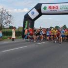 zdjęcie nr 92