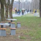zdjęcie nr 184
