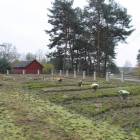 Fotka nr 1 z 17
