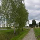 zdjęcie nr 21