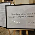 zdjęcie nr 138