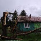 zdjęcie nr 8