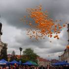 zdjęcie nr 110