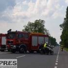 Fotka nr 2 z 5
