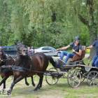 zdjęcie nr 37