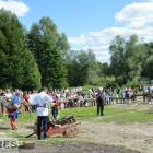 zdjęcie nr 115