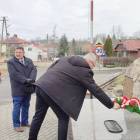 zdjęcie nr 7