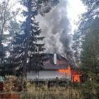 zdjęcie nr 12
