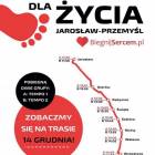 Fotka nr 0 z 1