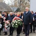 zdjęcie nr 22