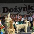 zdjęcie nr 67
