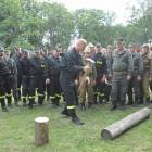 zdjęcie nr 104