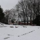 zdjęcie nr 7