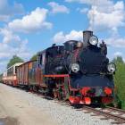 zdjęcie nr 11