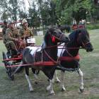 zdjęcie nr 305