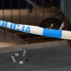 Fotka nr 1 z 12