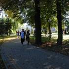 zdjęcie nr 29
