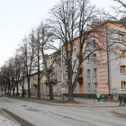 Fotka nr 5 z 11