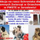 Fotka nr 1 z 2