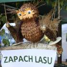 zdjęcie nr 40