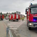 Fotka nr 4 z 5