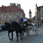 zdjęcie nr 28