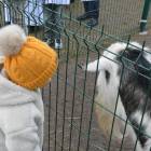 zdjęcie nr 30