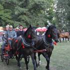 zdjęcie nr 240