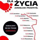 zdjęcie nr 28