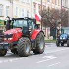 zdjęcie nr 44
