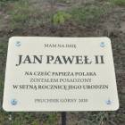 zdjęcie nr 9