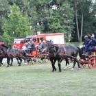 zdjęcie nr 255