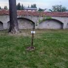 zdjęcie nr 21