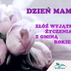 Fotka nr 0 z 1