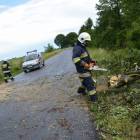 Fotka nr 2 z 14