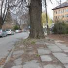 zdjęcie nr 11