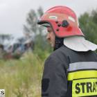 zdjęcie nr 7