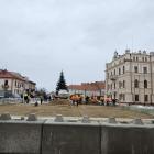 zdjęcie nr 12