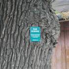 zdjęcie nr 28