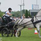 zdjęcie nr 49